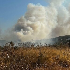 izmirden kotu haber minibuste cikan yangin ormana sicradi UkqEu1aX