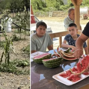 karabukte karpuz hasadi etkinligi duzenlendi ViyrIbRw