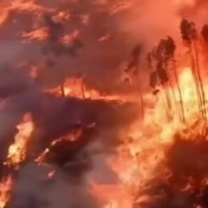 portekizde orman yangininda bir kisi yasamini yitirdi 5UIQwRCv