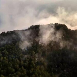 sinopta orman yangini kontrol altinda Cibjnlx4