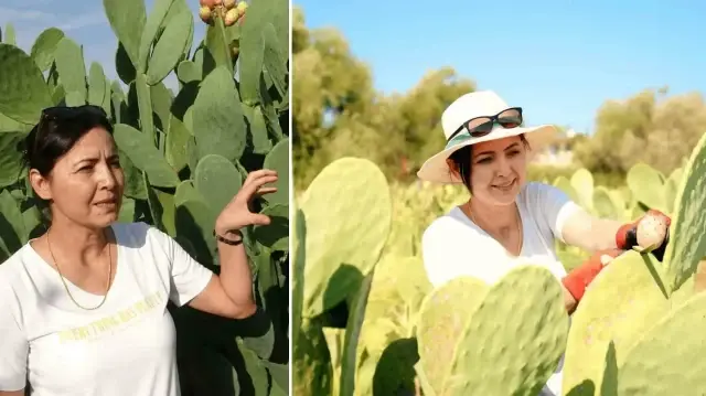 cevresindeki herkes alay etti turkiyede bir ilk yurt disinda cok degerli J2mj53Vv