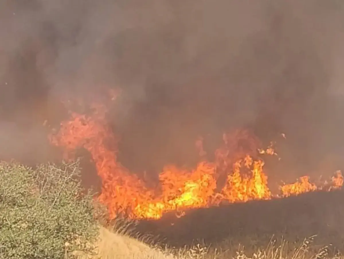 ipsalada bugday tarlasinda yangin Gy7Kq1l1