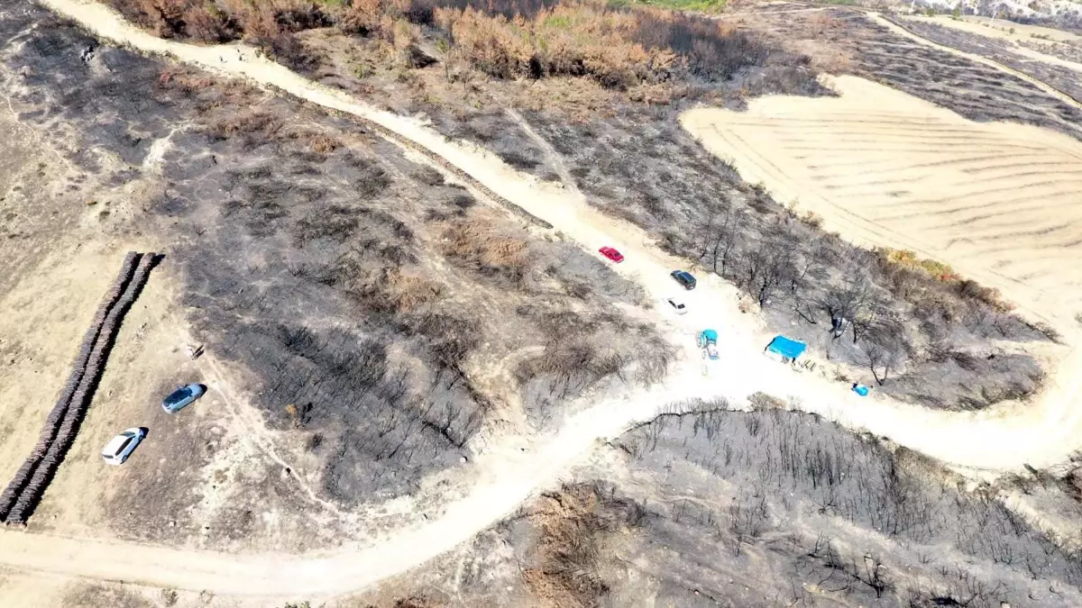 sarkoyde orman yangini sonrasi temizlik basladi mATI7jjb