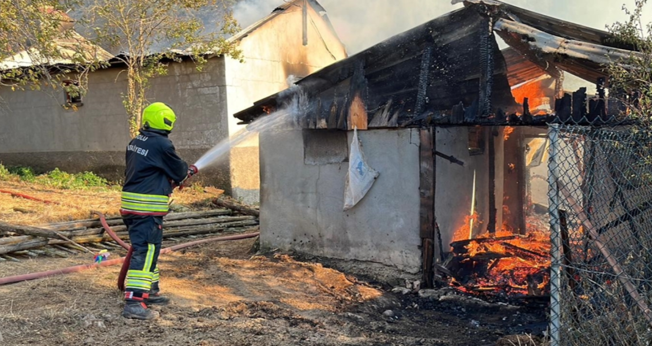 yayladaki 12 yapinin zarar gordugu yangini damat cikarmis hSYMegTJ
