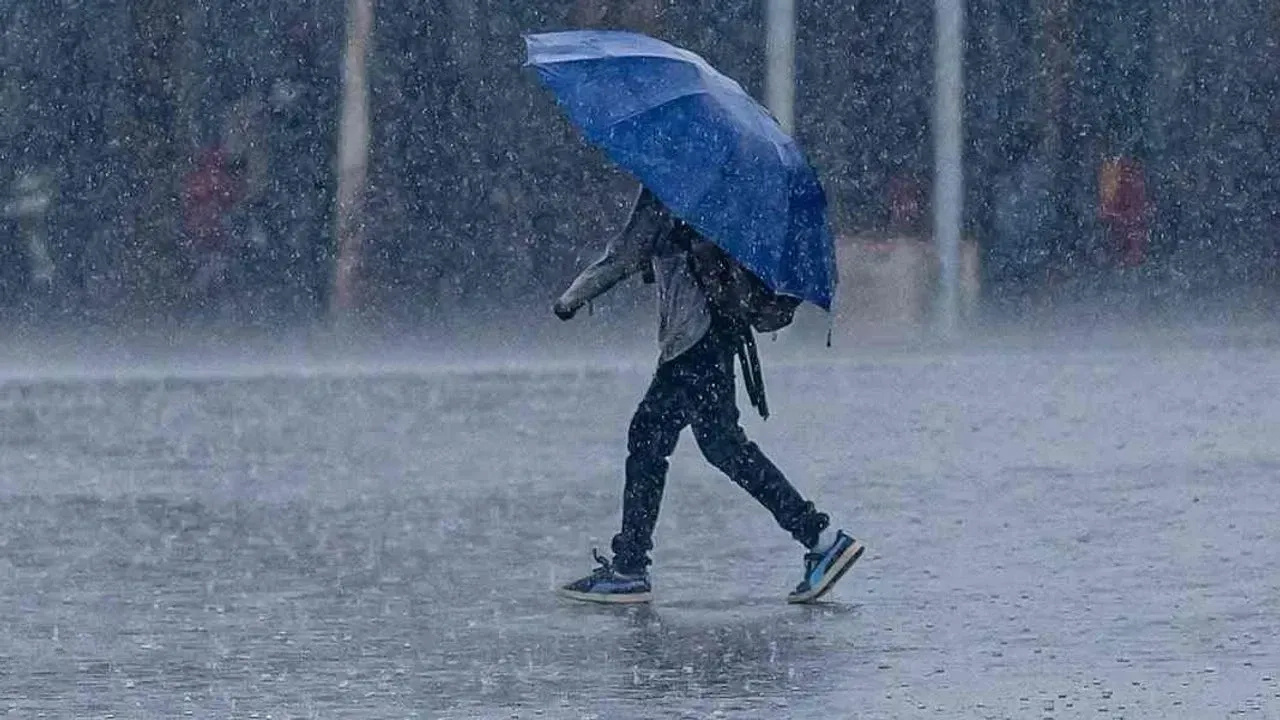 Haber gorseli